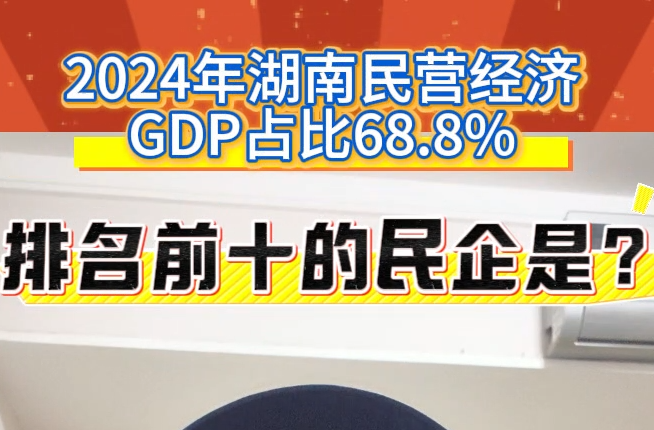 “亮”数据｜2024年湖南民营经济GDP占比68.8%，前十的民企有哪些？