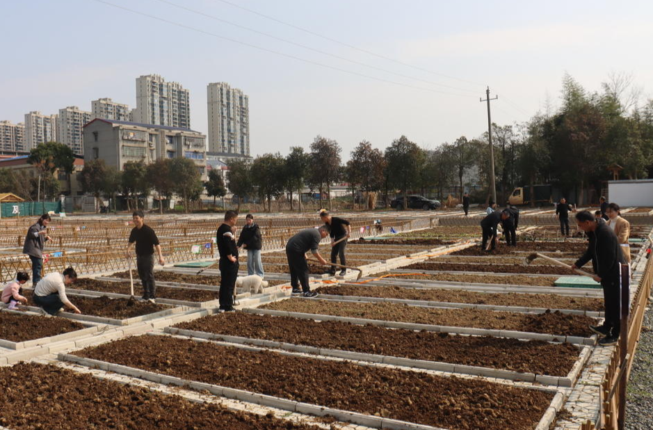 汨罗瞭家山社区共享趣菜园开园，市民开启田园生活新体验