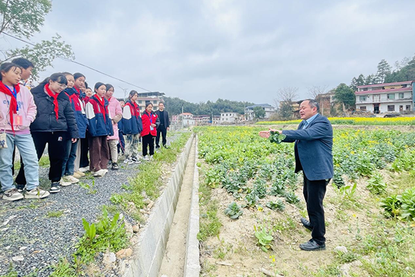 衡阳县关市镇盘石完小：初春村娃个个勤，实验田里摘菜心