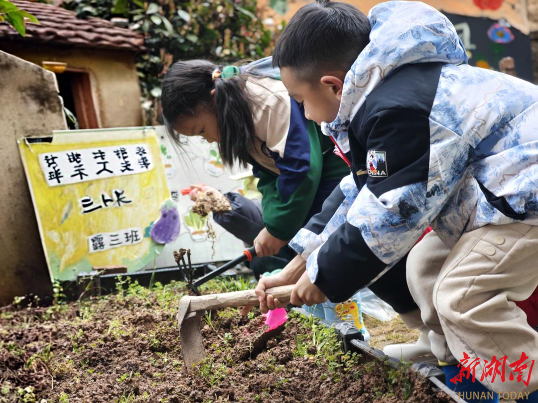 怀化市鹤城区第二幼儿园：童趣春耕迎惊蛰 传统文化润童心