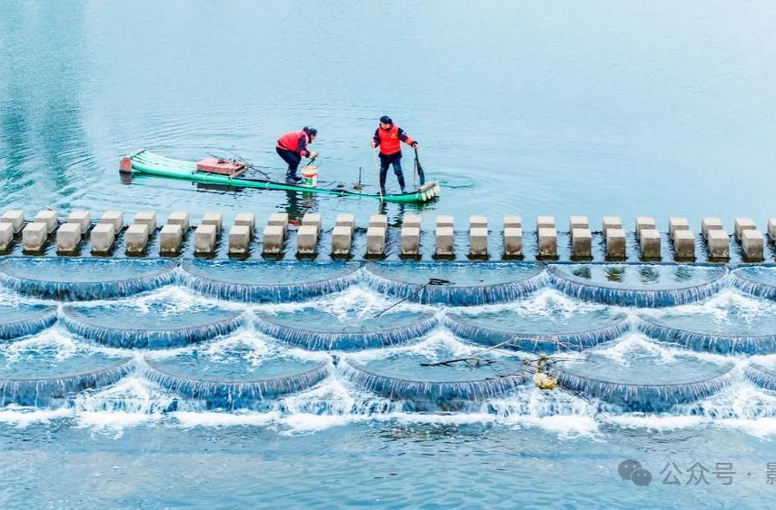 雷锋家乡学雷锋：举手之劳 点亮世界
