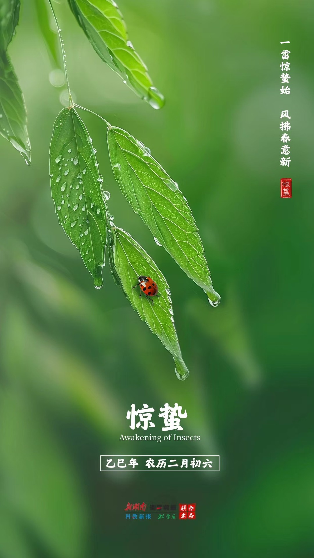 海报丨今日惊蛰