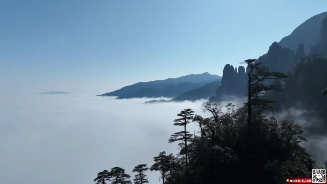 视觉丨宜章莽山：春日云海 壮美如画