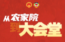 全国人大代表高亚：连续3年围绕“竹产业”提建议｜从农家院到人民大会堂