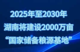 未来5年湖南将建2000万亩“国家储备粮源基地”