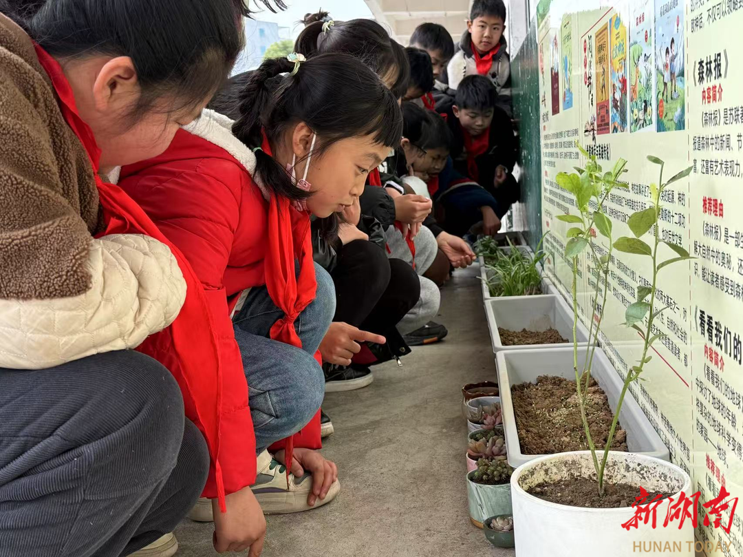 石门皂市完小：小角落，大融合