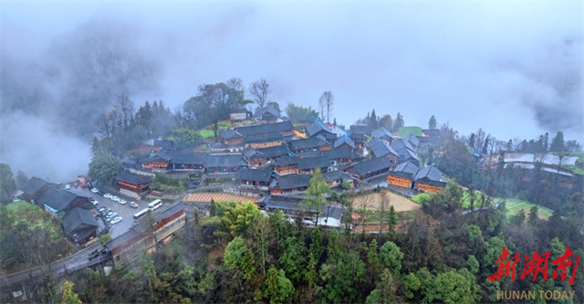 Fenghuang County Boosts Fruit Industry Development