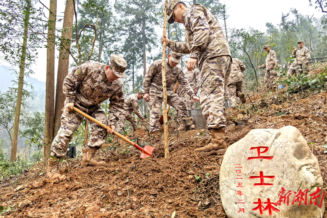 “衛(wèi)士林”里種下綠色希望！武警湘潭支隊(duì)為韶山添綠