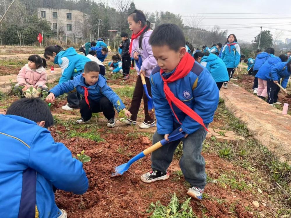 株洲市天元区白鹤学校：植绿色希望之树，以科技绘就生态画卷