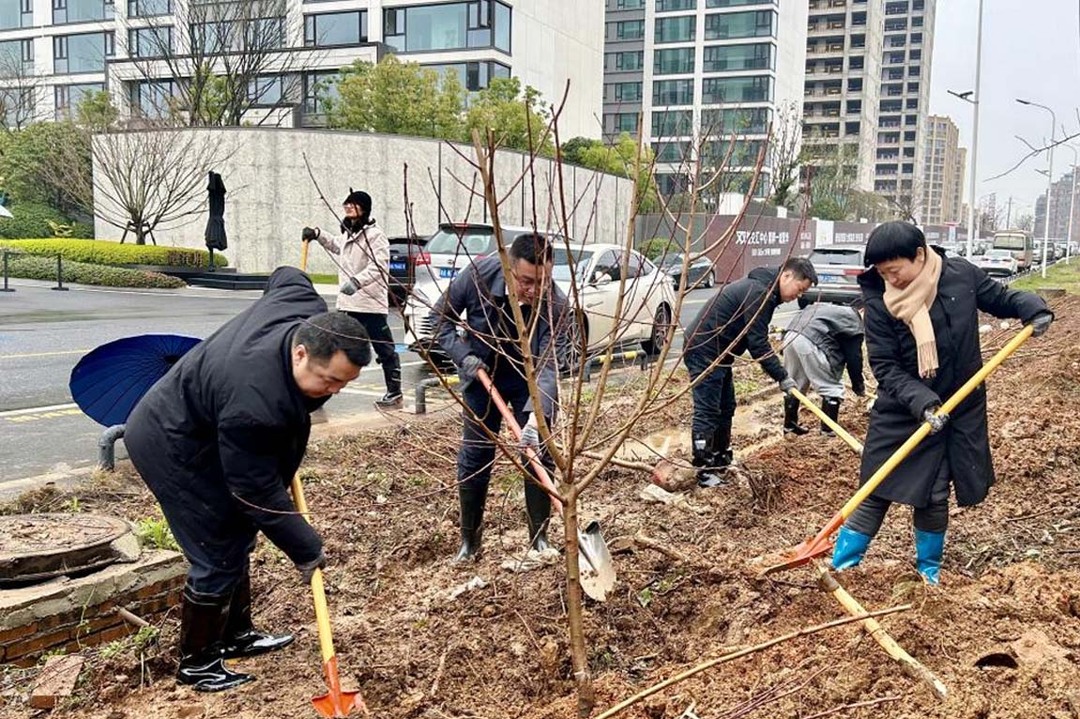 “新”力齐发 “志”植新绿，先锋街道联合新阶人士代表开展植树活动