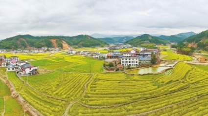 湖南日报·视觉丨资兴市兴宁镇百嘉洞村百亩油菜花开