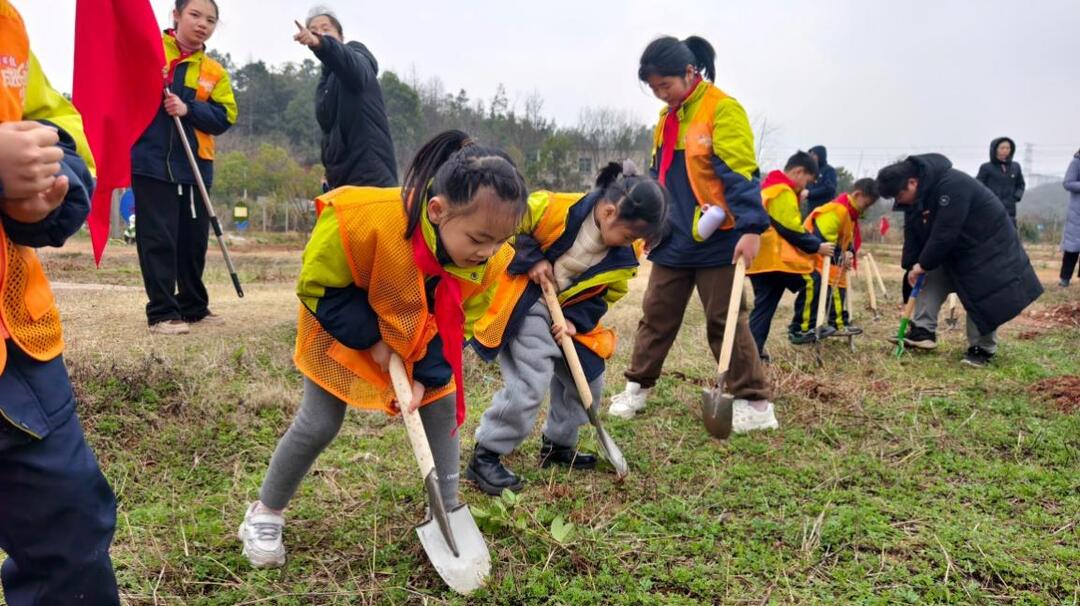 从“先锋效应”迈向“日常践行”——株洲市芦淞区南方第一小学开展义务植树活动