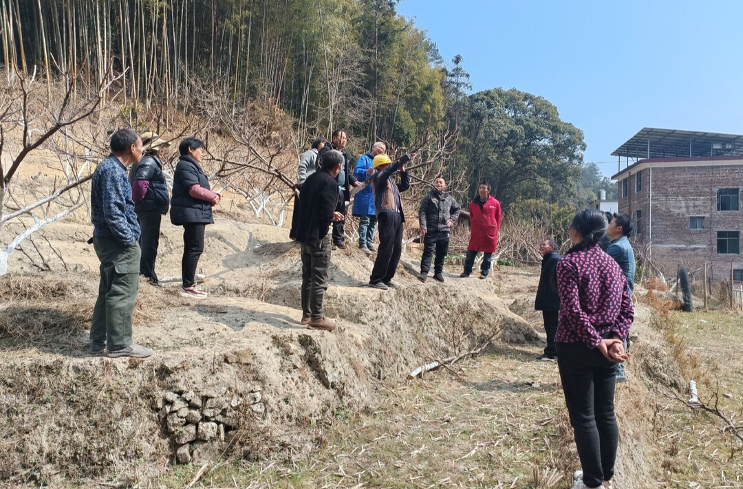 桂东新坊乡：头雁领航 群雁齐飞