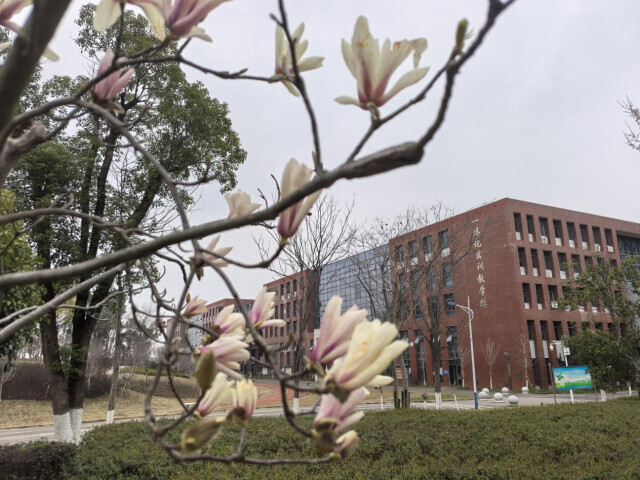 惠质若兰  节日“她”照 ​  ——湖南劳动人事职业学院“三八“国际妇女节活动掠影