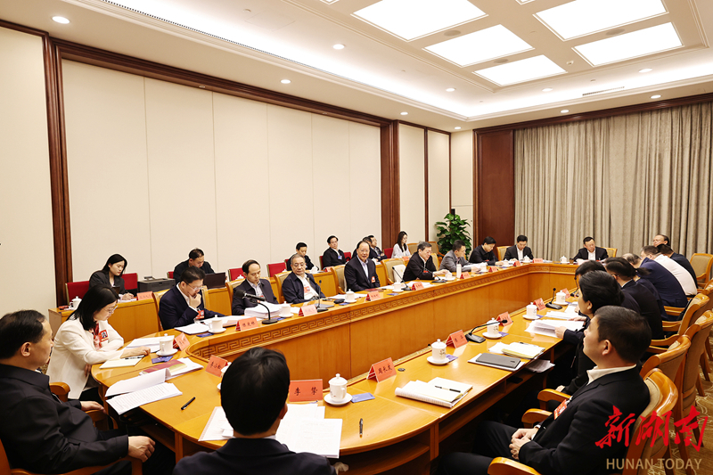 湖南代表團(tuán)舉行分組會(huì)議 沈曉明毛偉明等參加討論