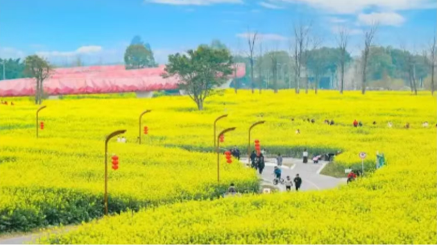 打造全国现代农业样板！湖南省农业科学院团洲垸现代农业研究院揭牌