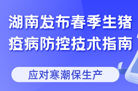 春季生猪疫病风险增加 湖南发布防控技术指导