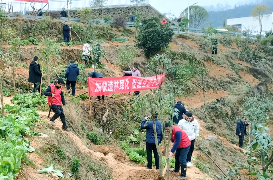 绥宁县开展义务植树活动，绘生态新画卷