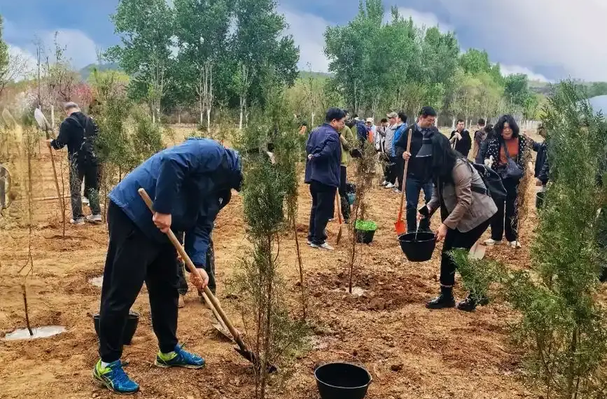 祁阳市自然资源局开展义务植树活动