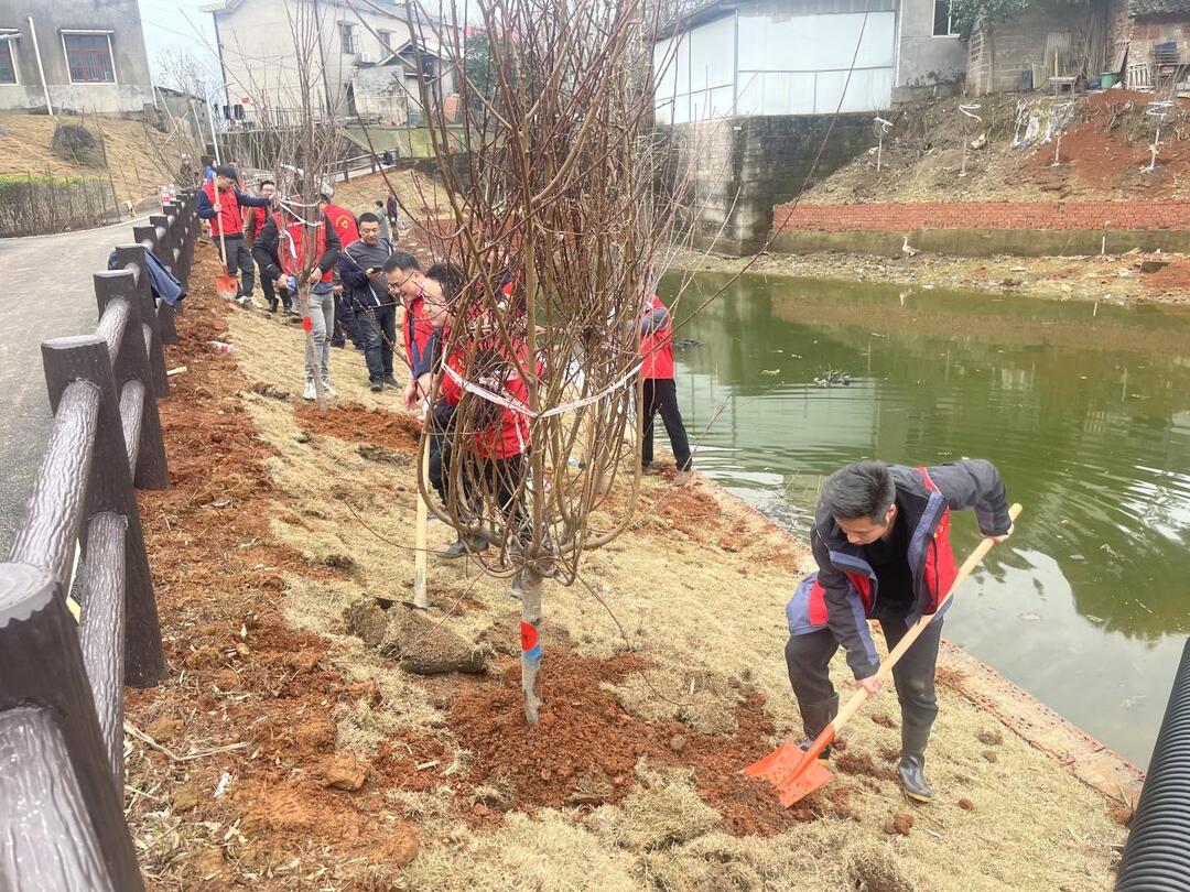 党建聚力植新绿 争当“绿心”使者扮靓乡村