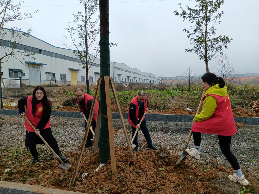 共绘绿色家园——中方县司法局参加义务植树活动