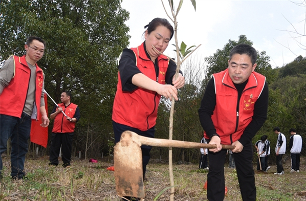 Tree Planting Activities Held Around Hunan