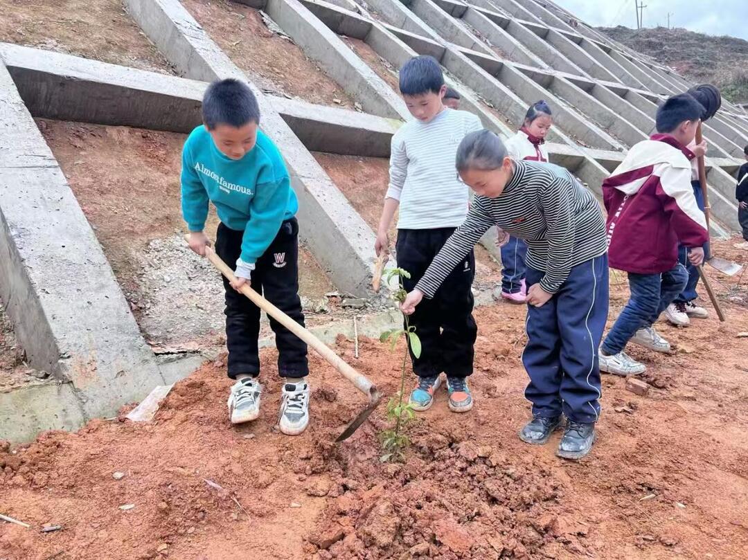 会同县王家坪明德学校：传承雷锋精神 共筑绿色家园