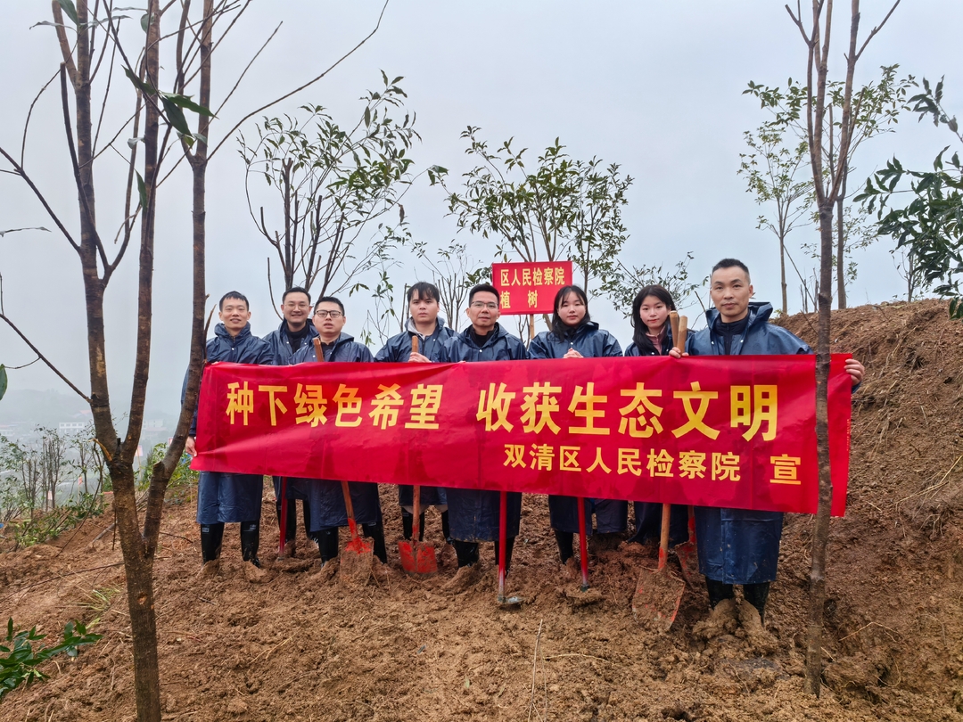 双清检察：植绿添春景，为生态续航
