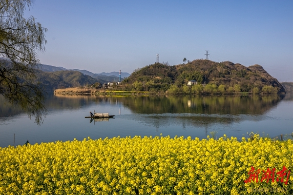 福地怀化•浪漫季丨洪江区滩头村：春日花海，山水画卷