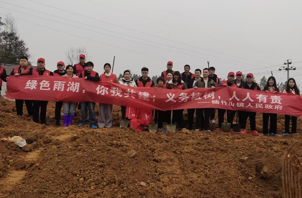 雨湖区楠竹山镇：同心协力共建绿美楠竹