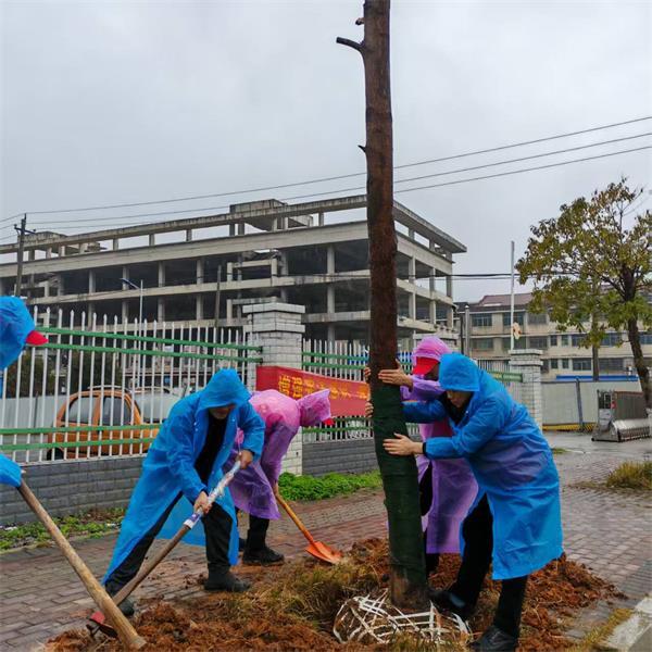 新邵雀塘产业园：冒雨植绿，书写生态新篇章