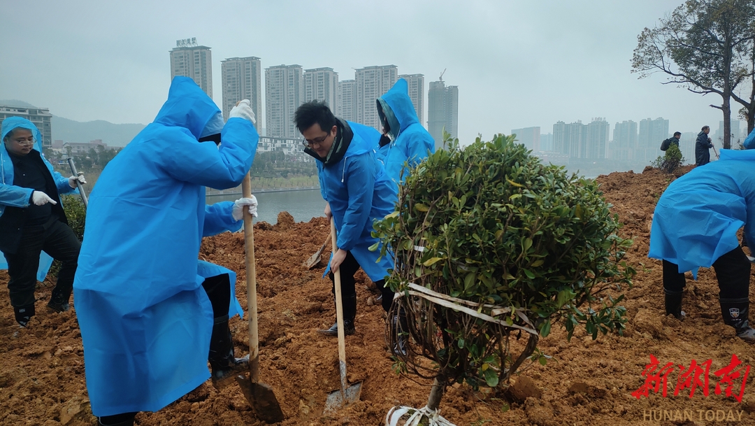 共筑绿色生态屏障 怀化市直单位开展义务植树活动