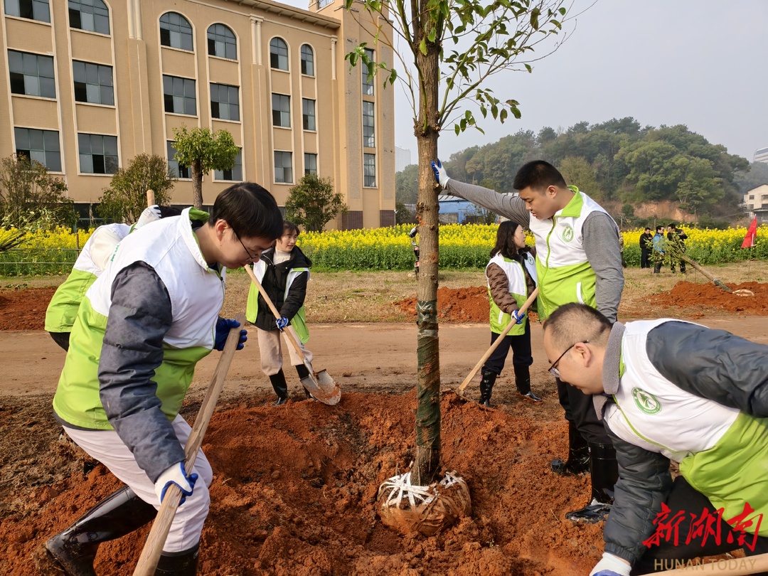 衡阳“绿色接力”蔚然成风 去年来327.3万人次义务植树，累计造林逾千万株