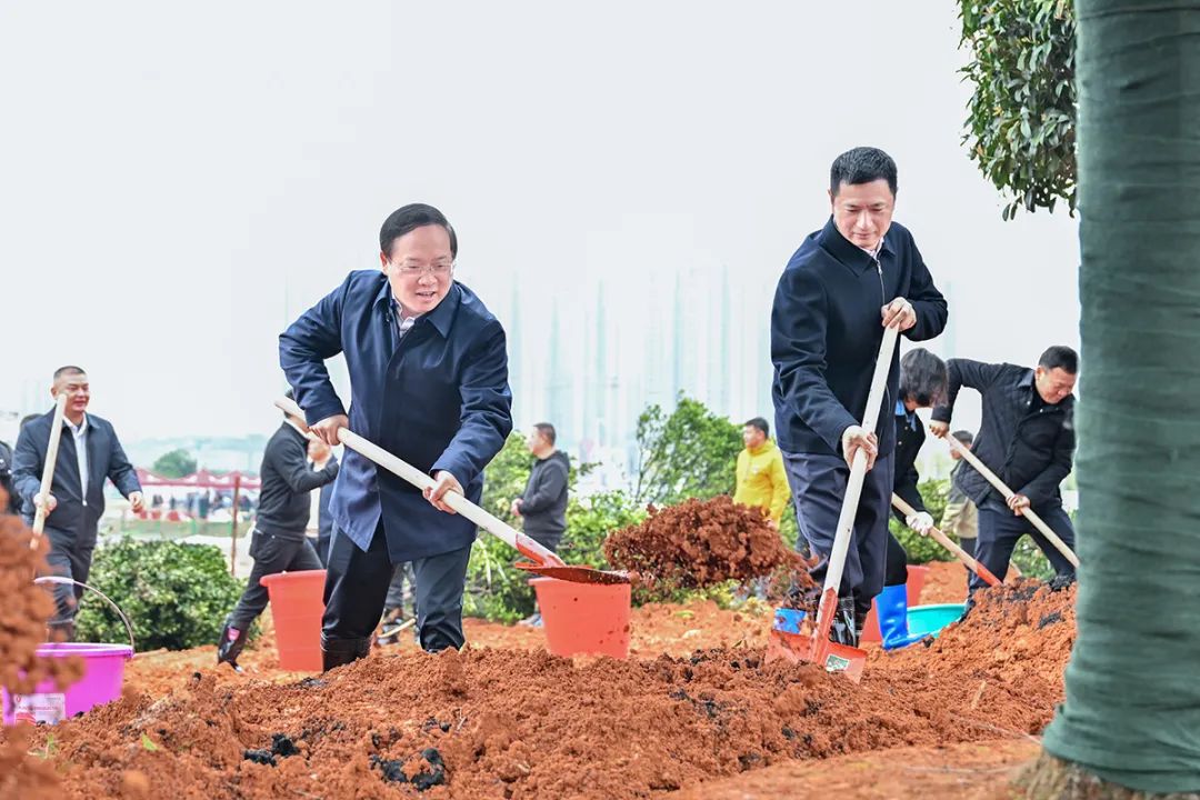 浏阳开展集中义务植树活动