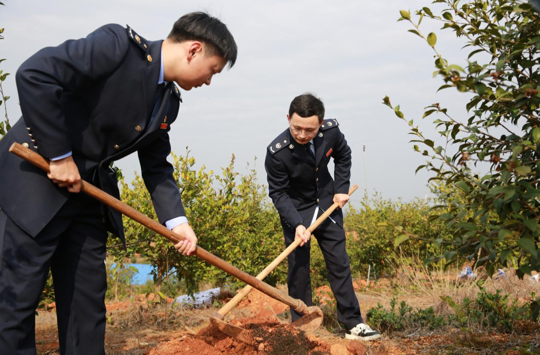 攸县税务：“雷锋月”遇上“植树节” 税务干部在行动