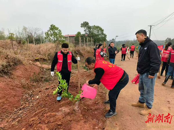 昭潭街道开展“植树于行，植廉于心”主题植树活动