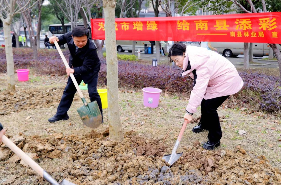 春风催新绿 南县干群共绘生态新画卷