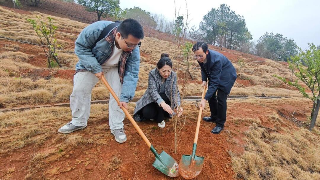 南华大学计算机学院开展植树节主题活动