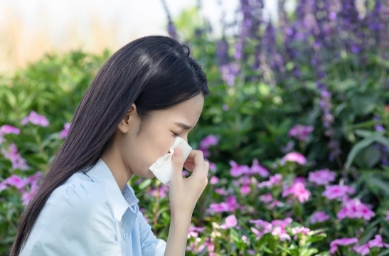 花粉过敏季又来了！“元凶”竟然不是鲜花？教你预防→