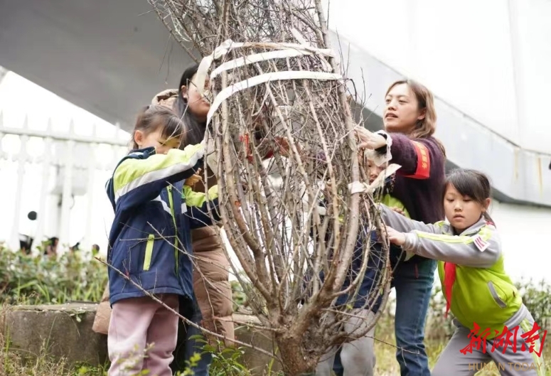 长沙市天心区湘府英才小学：党建引领植新绿 校企共建美家园