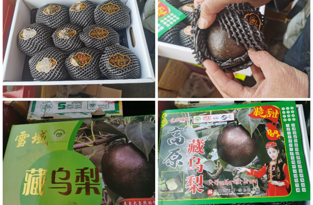 起底“藏乌梨”骗局：虚构的高原特产，普通梨高温加工而成