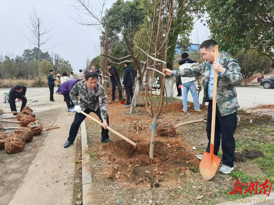 双牌城管：履行植树义务 共建花园县城