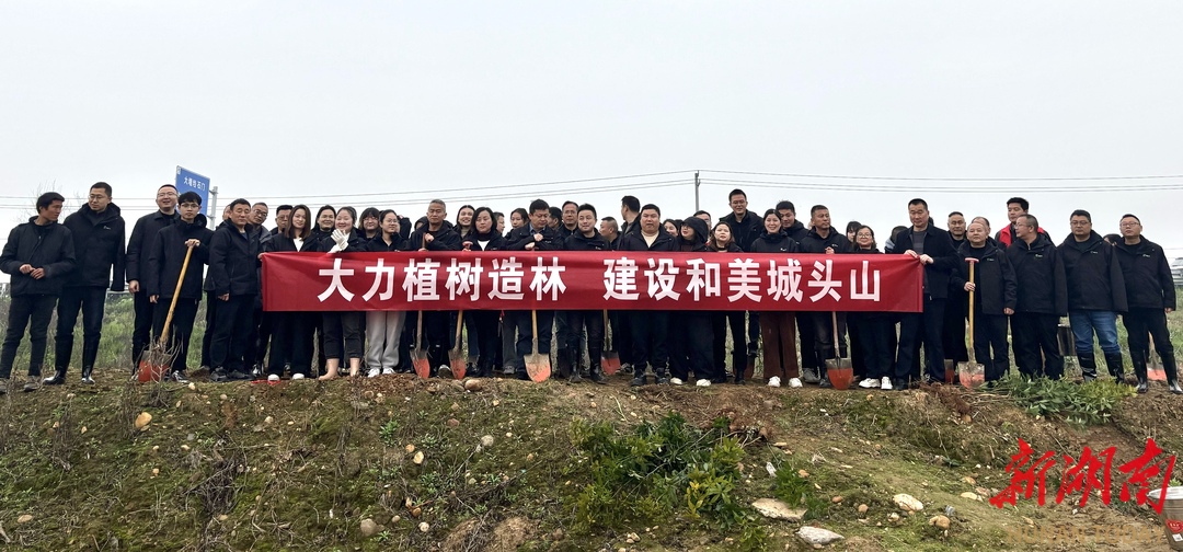 澧县城头山镇：共植绿意山水间 绘就生态新画卷