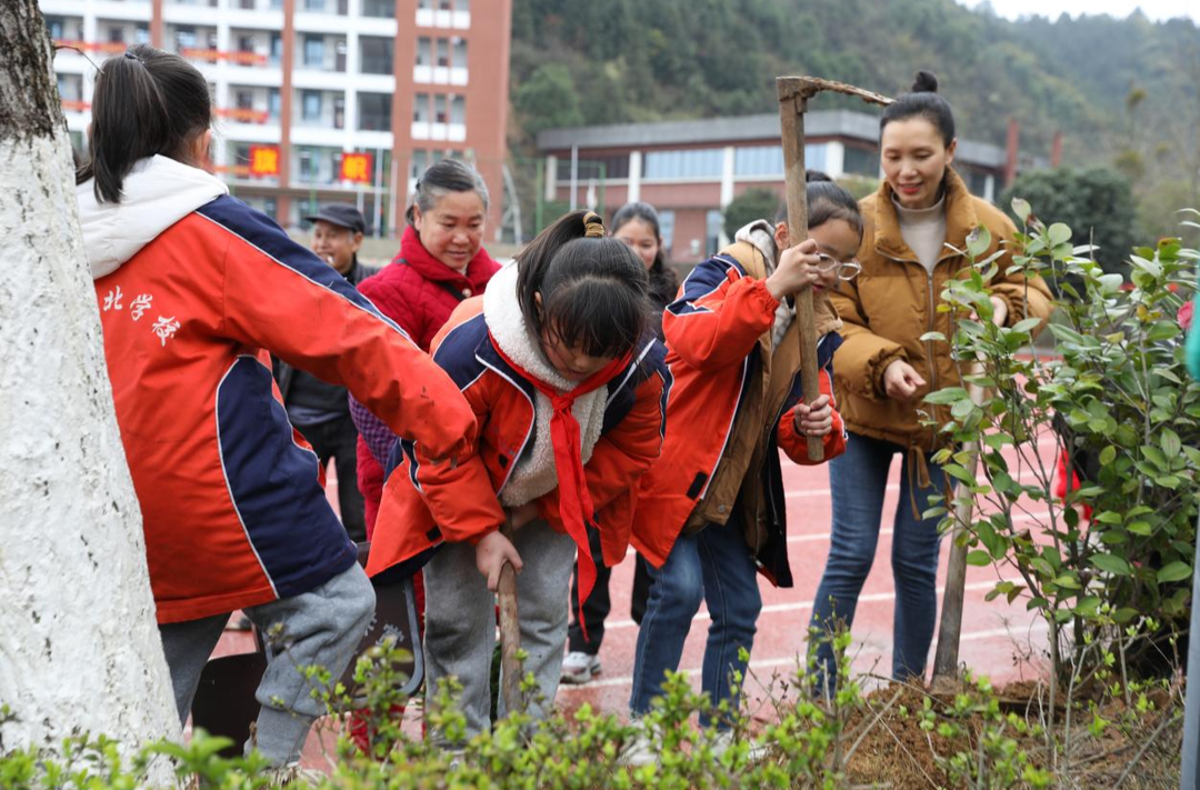 会同县城北学校：和乐植绿，共筑城北新绿梦