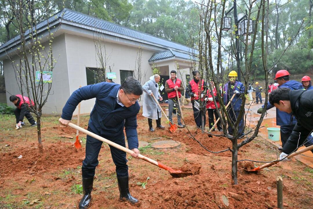 同植希望树 共添南城绿