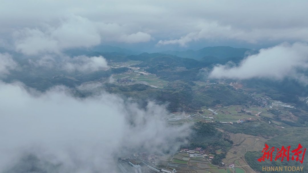 鹤城区：云雾漫涌  山村宛如诗画仙境