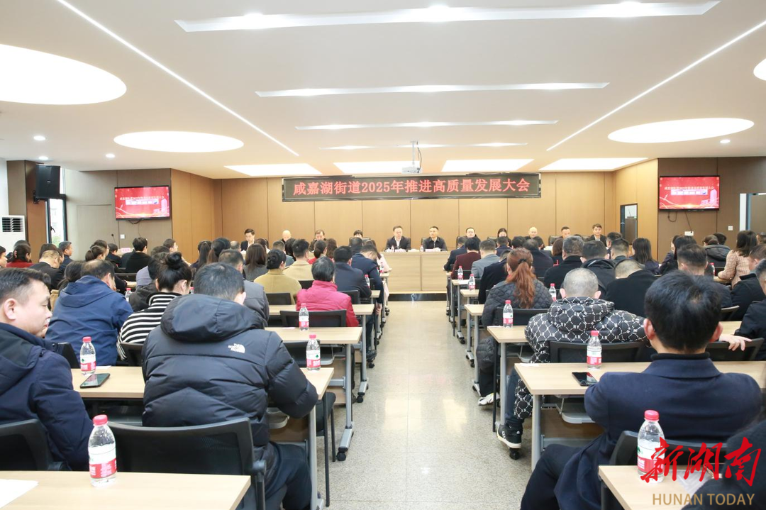 长沙咸嘉湖街道：召开推进高质量发展大会