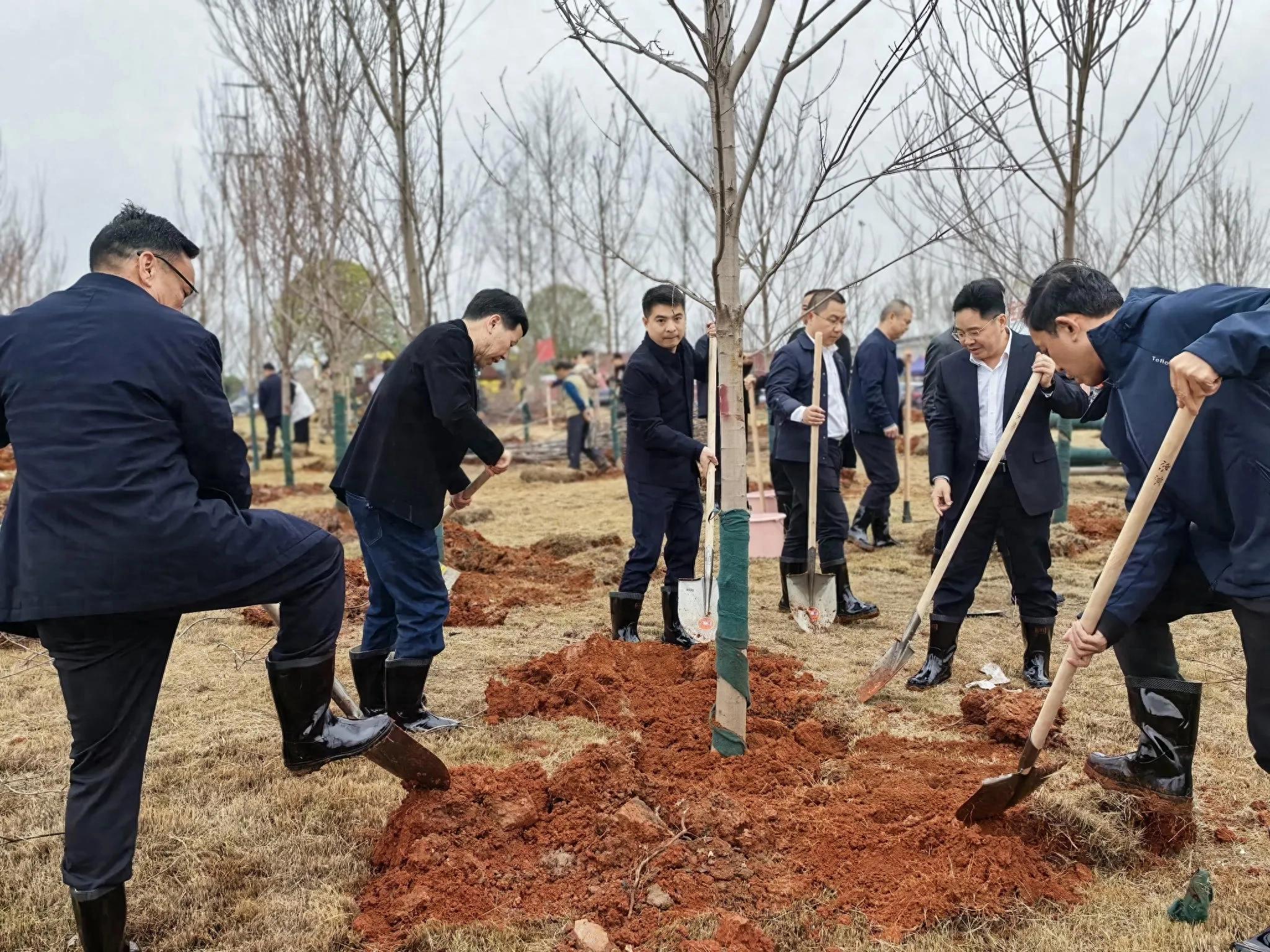 以“绿”为笔，绘就常宁“森”活新篇章