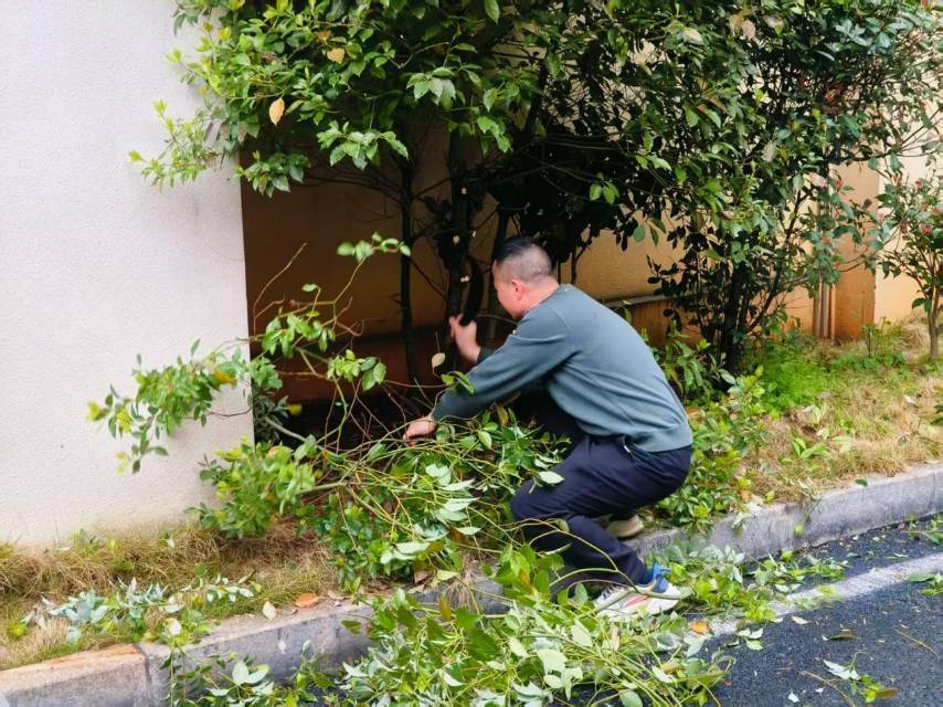 郴州市第六完全小学党总支部开展“情暖三月学雷锋 党员示范作表率”系列活动