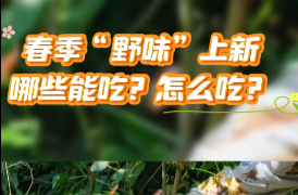 正值春季“野味”上新！专家提醒：食用野菜有讲究